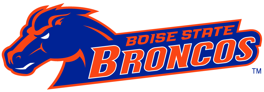 Boise State Broncos 2002-2012 Secondary Logo v22 DIY iron on transfer (heat transfer)